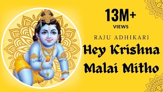 Hey krishna Malai Mitho Bamsi  Raju Adhikari srdbhakti Bhajan  Nepali Bhajan [upl. by Nilam201]