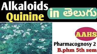 Quinine in తెలుగు b pharm 5th sem  pharmacognosy 2 unit 3 [upl. by Shirah]