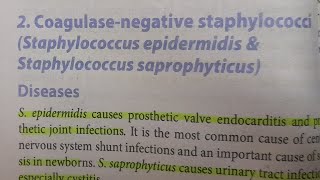 Staphylococcus Epidermidis amp Saprophyticus  MICROBIOLOGY [upl. by Martres695]