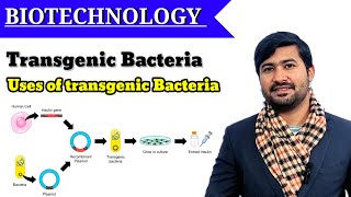 Transgenic bacteria class 12  Uses of transgenic bacteria  Fsc 2nd year Biology [upl. by Alamap]