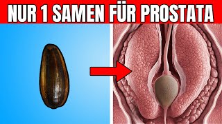 Nur 1 Samen um eine vergrößerte Prostata zu verkleinern [upl. by Attennaj]