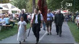 Weinfest im Museumspark in Mödling [upl. by Leuqim]