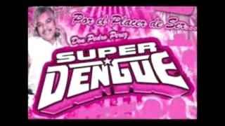 Amor  Estelares De La Salsa Sonido Super Dengue [upl. by Mayhew]