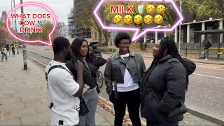 🤣🤣🤣ASKING STRANGERS WHAT DOES COW DRINK 😂🤣🤣🤣 THE ANSWERS WILL SHOCK YOU 🤣🤣 [upl. by Suivatnad]