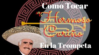 Como tocar “Hermoso Cariño” de Vicente Fernández en DO en la Trompeta [upl. by Noirda]