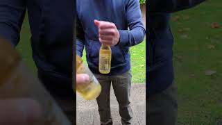 How to Open a Beer Without an Opener Life hackshorts [upl. by Apilef399]