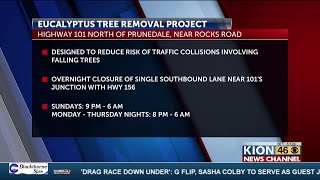 Highway 101 tree removal project begins November 3 north of Prunedale [upl. by Pheni]