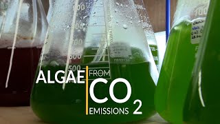 Algae from CO2 Emissions [upl. by Champaigne]