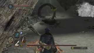 Dark Souls 2 Walkthrough  Everything possible before a boss  Shaded Ruins [upl. by Tyrus]