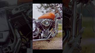 Shovelhead on film 🍊🎞️ [upl. by Burnside]