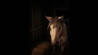 Top1 FASTER Horse Than Arabains Location amp Rankings  RDR2Brindle Thoroughbred Horse shorts rdr2 [upl. by Ietta]