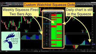 Thinkorswim Watchlist TTM Squeeze [upl. by Hauser733]