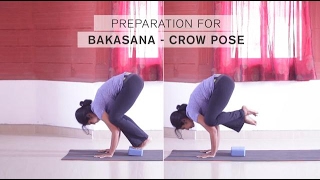 Preparation for Bakasana  Crow Pose [upl. by Ennaira]