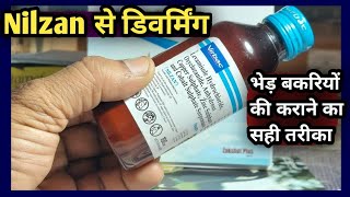 Nilzan Syrup Se Sheep Goat ki Deworming karane ka Sahi tarikaभेड़ बकरियों की डिवर्मिंग [upl. by Ahcrop485]