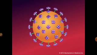 Retroviral vectors structure and function Animal Biotechnology [upl. by Karp]