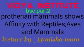 Affinity of PROTOTHERIA By Manisha mam [upl. by Ecinereb]