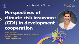 Perspectives of climate risk insurance CDI in development cooperation [upl. by Sulohcin889]