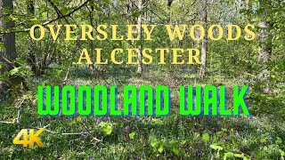 Morning Walk Around Oversley Wood  Alcester [upl. by Otrevogir743]