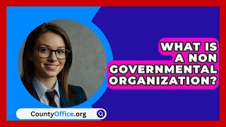 What Is A Non Governmental Organization  CountyOfficeorg [upl. by Reagen]