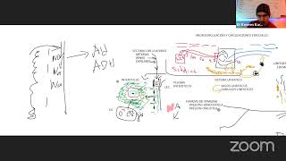 Fisiologia Cardiaca  Microcirculación y Edema [upl. by Meurer]