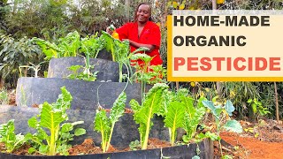 Best Organic Pesticide amp Fertilizer Recipe  Easy DIY Guide for Healthier PestFree Crops [upl. by Bran]