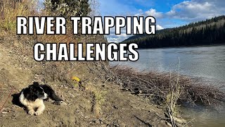 Beavers And Grizzlies Challenges On The Trapline [upl. by Ijic]