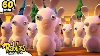 Where are the Rabbids   RABBIDS INVASION  1H New compilation  Cartoon for kids [upl. by Nedda]