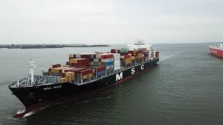 Wallenius Wilhelmsen Tamesis RoRo and MSC Vigo Container Ships in the Patapsco River [upl. by Egni]