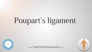 Pouparts ligament Anatomy Named After People 🔊 [upl. by Corrine]