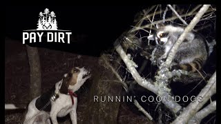 How To Hunting Coons with Dogs [upl. by Plato]