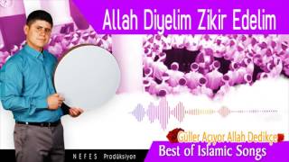 Allah Diyelim Zikir Edelim  Ali Kırış  2017 Albüm [upl. by Gordie]