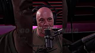 Joe Rogan Gets Pulled Over [upl. by Keven]