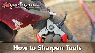 Sharpening Tools  Pruners Loppers Shovels and More [upl. by Tilly612]