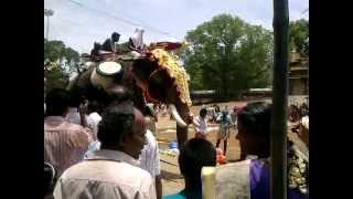 Thrissur pooram 2012 elephant attackmp4 [upl. by Bartholomeo]