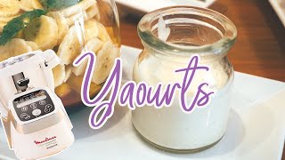 Recettes Yaourtière Lagrange — YAOURTS [upl. by Adnahcir398]