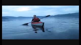 Close Encounters with Beluga Whales [upl. by Doe]