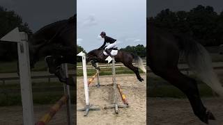 Knappe Cerrito 1M springen Aerdenhout [upl. by Enileuqcaj703]