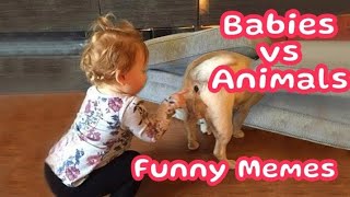 Cutest and Funniest Baby amp Animals [upl. by Vada]