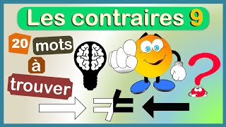 Les antonymes  le contraire des mots  Enrichir son vocabulaire français [upl. by Aven468]