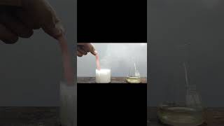 Reaction of salt with sulphuric acid shorts [upl. by Rask]