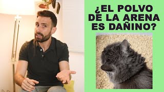 ¿El polvo de la arena de mi gato es dañino para su salud [upl. by Yraek682]