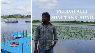 PEDDAPALLI MINI TANK BUND  PEDDAPALLI  VINEEL FOOD AND TRAVEL [upl. by Emelina]