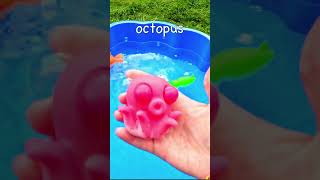 Learn Sea Animal Names for Babies Kids Clown Fish Hermit Crab Cuttlefish Octopus Eel Fiddler Crab [upl. by Nomit]