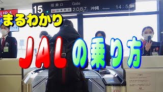 JAL 予約から搭乗まで解説 初めての方でも乗り方がまるわかり【ジャル 国内線 飛行機 チェックイン機 荷物預け機】 [upl. by Elburr261]