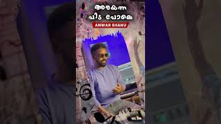 Arayanna Pida Pole Anwar Shanu Music Mappila Songs Mappilapattukal [upl. by Eilahs744]