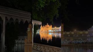 Darbar sahib Golden temple Harimandir sahib  gurbani status waheguru goldentemple youtubeshorts [upl. by Brunelle634]