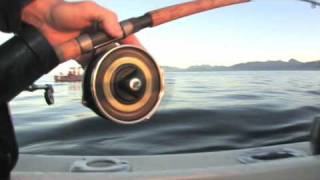 Shimano Mooching Reels [upl. by Theodore492]