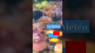 Générique Météo TF1 2023 Matin [upl. by Nahaj]