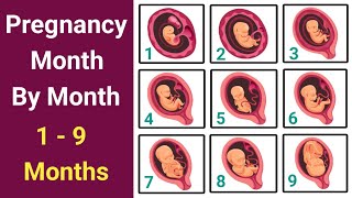 Pregnancy Journey Month By Month  Fetal Development Month By Month  pregnancymonthbymonth [upl. by Sible]