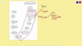 Experimental pharmacology an introduction [upl. by Heman276]